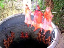 Về Phú Yên lai rai... thịt chuột